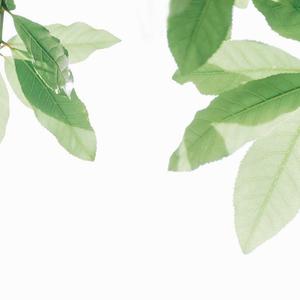 五十六十丰满老熟
